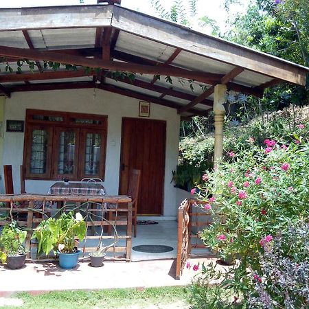 Ella J Villa Εξωτερικό φωτογραφία