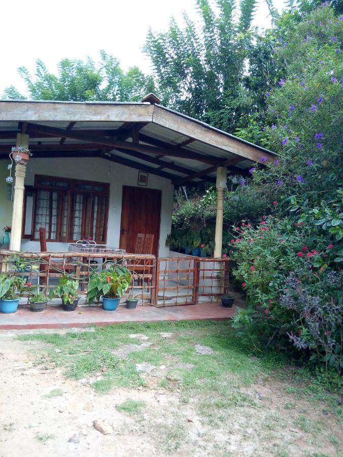 Ella J Villa Εξωτερικό φωτογραφία