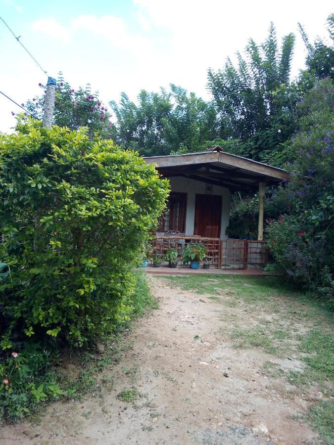Ella J Villa Εξωτερικό φωτογραφία